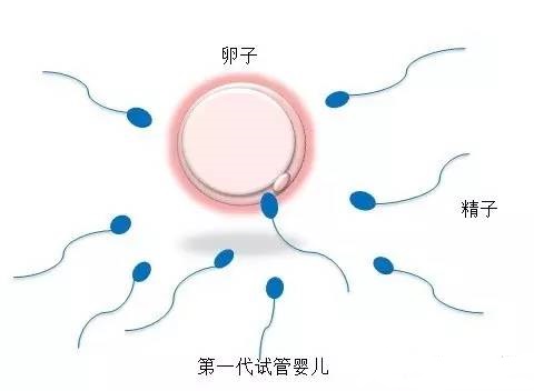 生殖医学中心